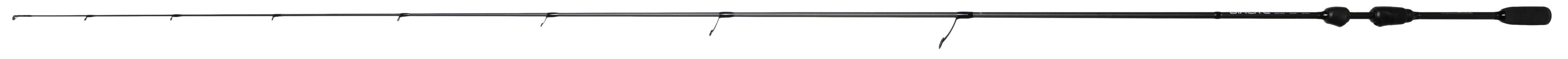 BIXLITE FAST SPIN RUTE