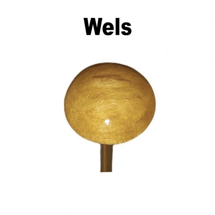 Wallerholz Wels - "Tilo Andreas"