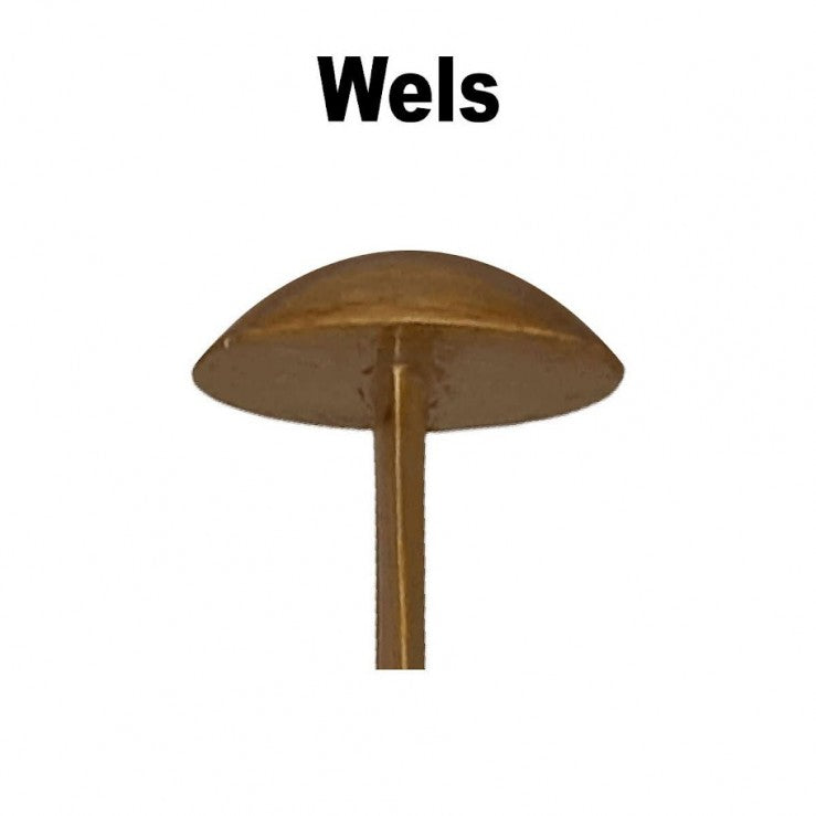 Wallerholz Wels - "Tilo Andreas"